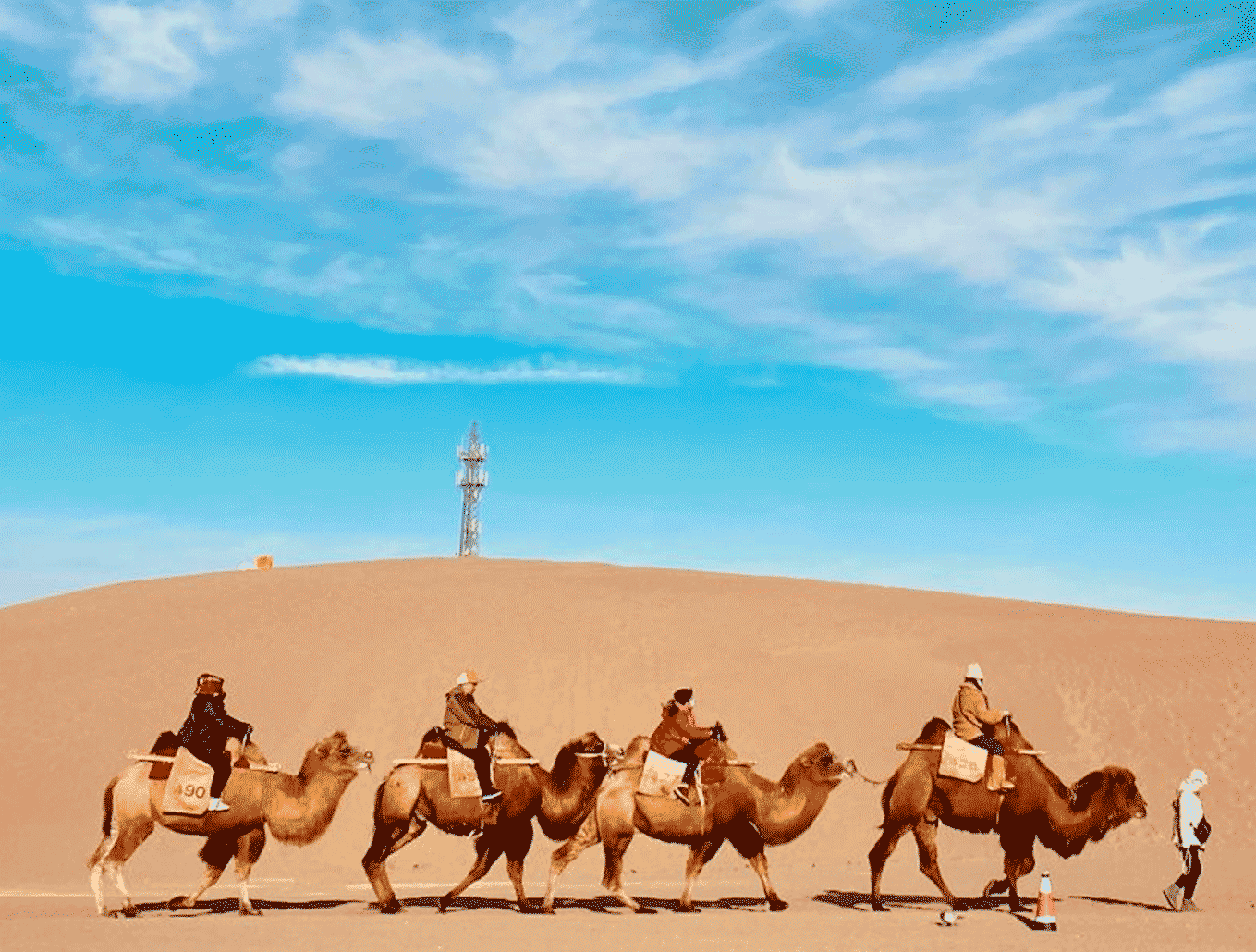 敦煌张掖嘉峪关6日精华